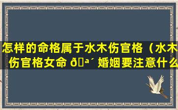 怎样的命格属于水木伤官格（水木伤官格女命 🪴 婚姻要注意什么）